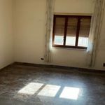 Rent 4 bedroom apartment of 100 m² in Civitavecchia