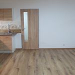 Rent 1 bedroom apartment of 39 m² in Liberec