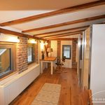 Rent 3 bedroom apartment of 70 m² in Potsdam