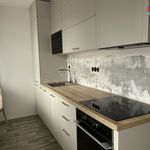 Rent 1 bedroom apartment of 37 m² in Pardubice