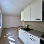 Rent 1 bedroom apartment of 36 m² in Brno