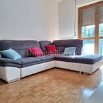 Rent 3 bedroom apartment of 60 m² in Biella