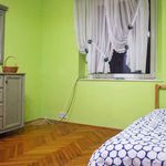 Rent 3 bedroom apartment in wroclaw