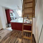 Rent 4 bedroom apartment of 135 m² in Prague