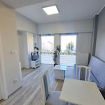 Rent 2 bedroom apartment of 39 m² in Legnica