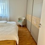 Miete 4 Schlafzimmer wohnung von 110 m² in Dossenheim