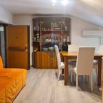 Affitto 2 camera casa di 50 m² in Marino