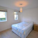Rent 1 bedroom flat in New Cross