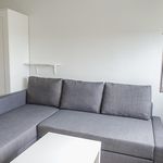 Rent 1 bedroom apartment of 29 m² in Krośniewice