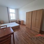 Rent 1 bedroom apartment of 30 m² in Opava