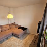 Rent 2 bedroom apartment of 45 m² in Köln