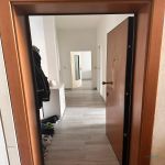 Rent 2 bedroom apartment of 70 m² in Baranzate
