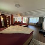 Rent 1 bedroom apartment of 80 m² in Friedrichshafen