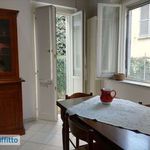 Rent 3 bedroom apartment of 65 m² in Lecce