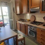 Rent 4 bedroom apartment of 100 m² in Pavia