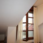 Alquilo 1 dormitorio apartamento de 45 m² en Gijón