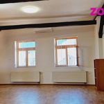 Rent 3 bedroom apartment of 115 m² in Chomutov