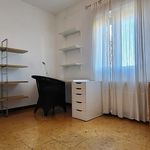 Alquilo 5 dormitorio apartamento de 67 m² en Valladolid