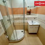 Rent 2 bedroom apartment of 35 m² in Zlín