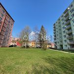 Rent 1 bedroom apartment of 20 m² in Chomutov