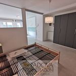 Rent 1 bedroom apartment of 47 m² in Padova