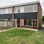 Rent 4 bedroom apartment of 75 m² in Budel-Schoot