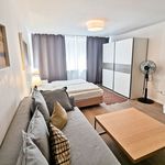 Rent 1 bedroom apartment of 39 m² in Heidelberg