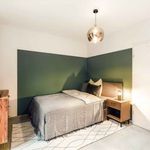Rent 3 bedroom student apartment of 19 m² in Köln