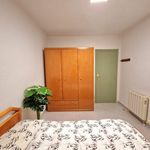 Rent 4 bedroom apartment in Castelló de la Plana