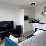 Rent 2 bedroom house of 48 m² in Reusel