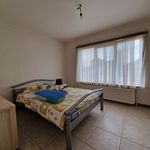 Rent 2 bedroom apartment in Zelzate