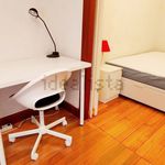 Alquilo 3 dormitorio apartamento de 60 m² en Bilbao
