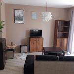 Rent 2 bedroom apartment of 44 m² in Lodz