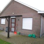 Rent 3 bedroom house in Herentals
