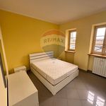 Rent 3 bedroom apartment of 66 m² in Biella