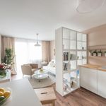Rent 1 bedroom apartment of 32 m² in Rostock