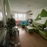 Rent 3 bedroom apartment of 56 m² in Orlova