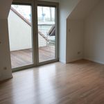 Rent 4 bedroom apartment of 290 m² in Gooik