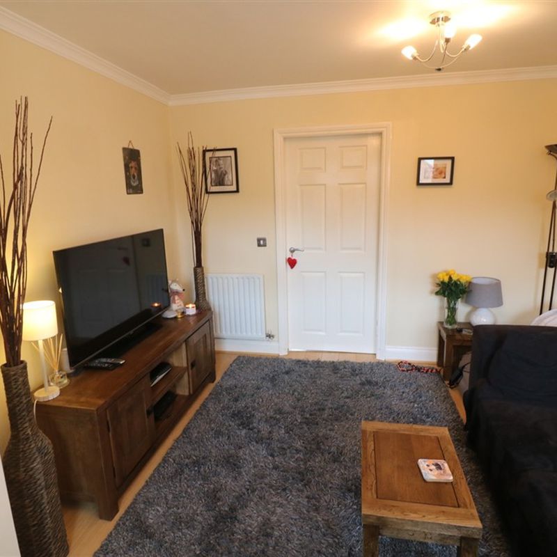 Jubilee Close, Shiptonthorpe for renting - CJ Property