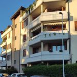 Rent 2 bedroom apartment of 65 m² in Busto Arsizio
