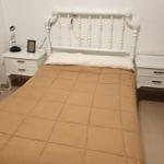 Alquilar 4 dormitorio apartamento en León