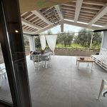 Affitto 3 camera casa di 90 m² in Capalbio