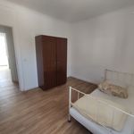 Rent 2 bedroom apartment of 5416 m² in Entroncamento