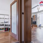 Rent 3 bedroom apartment of 78 m² in Prostějov