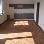Rent 1 bedroom apartment of 520 m² in Číhošť