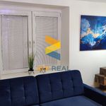 Rent 1 bedroom apartment of 28 m² in Konice