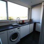 Rent 1 bedroom apartment of 32 m² in Albi