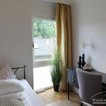 Rent 3 bedroom apartment of 87 m² in Bonn