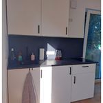 Rent 1 bedroom apartment of 30 m² in Bad Homburg
