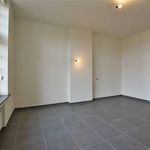  appartement avec 1 chambre(s) en location à Dendermonde